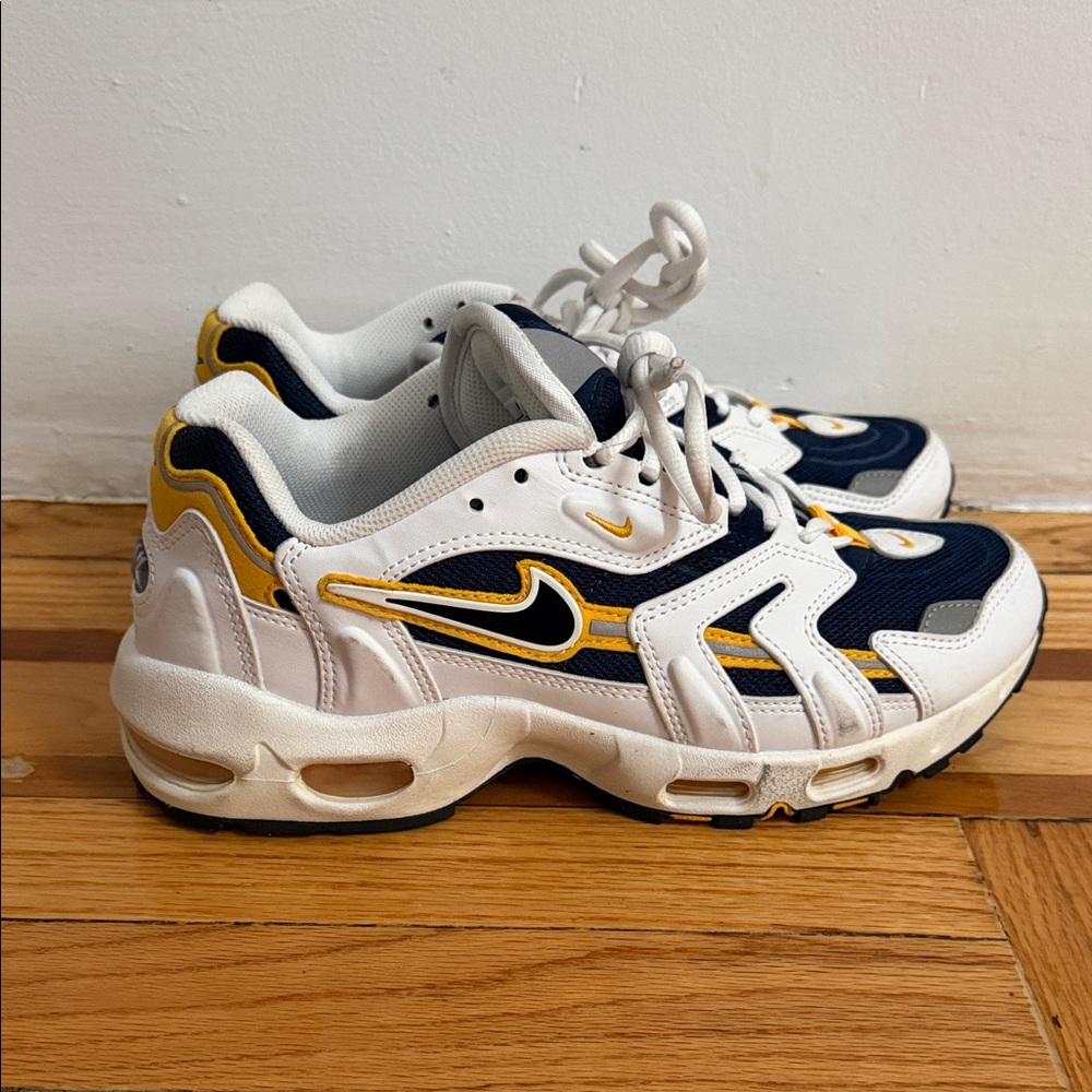 Nike Air Max sneakers